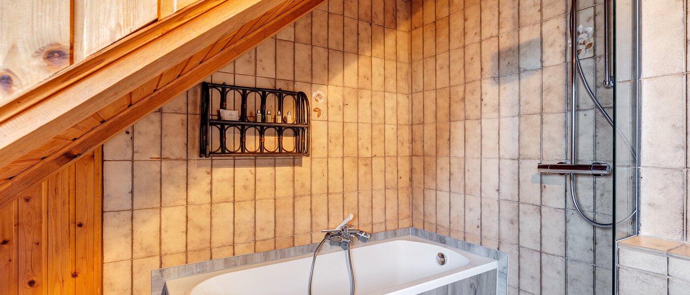 アティック・フラット（屋根裏） München Berg am Laim 02 浴室 8602