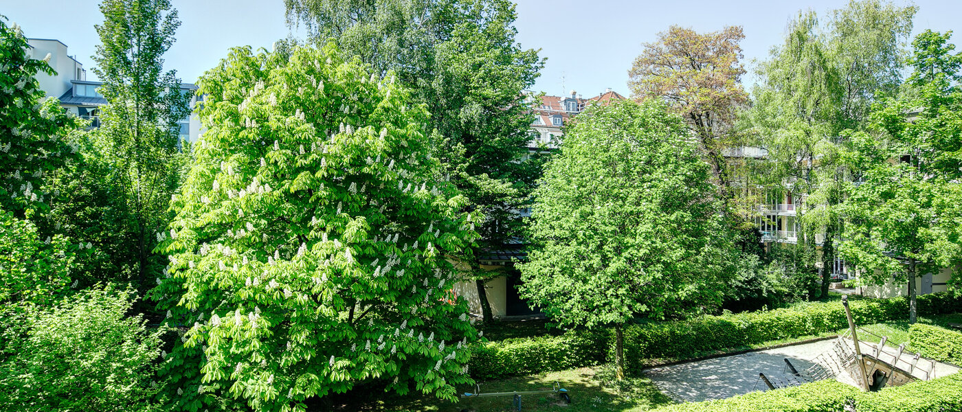 マンション München Maxvorstadt - Universitätsviertel 02 物件からの眺め 8629