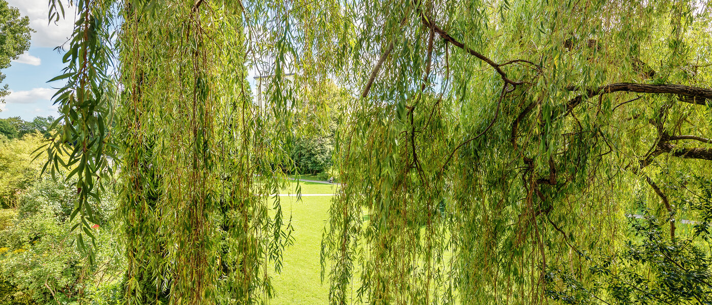 マンション München Parkstadt Bogenhausen 02 物件からの眺め 8635