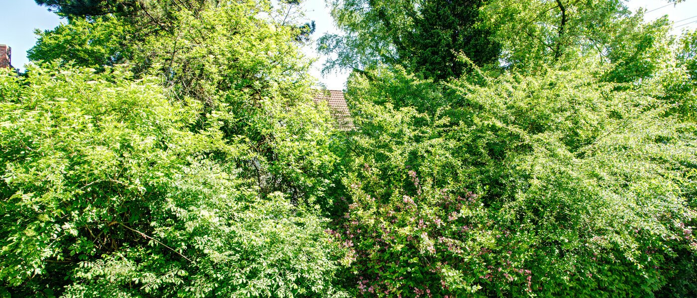 マンション München Freimann 04 物件からの眺め 8673