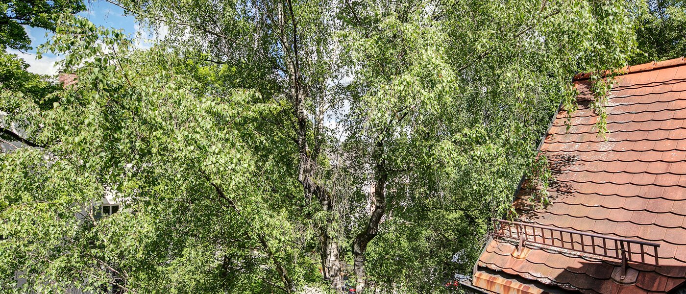 アティック・フラット（屋根裏） München Solln 03 物件からの眺め 8785