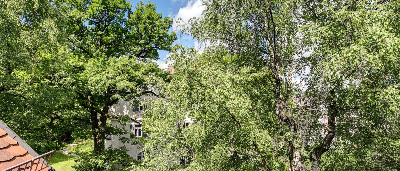 アティック・フラット（屋根裏） München Solln 06 物件からの眺め 8785