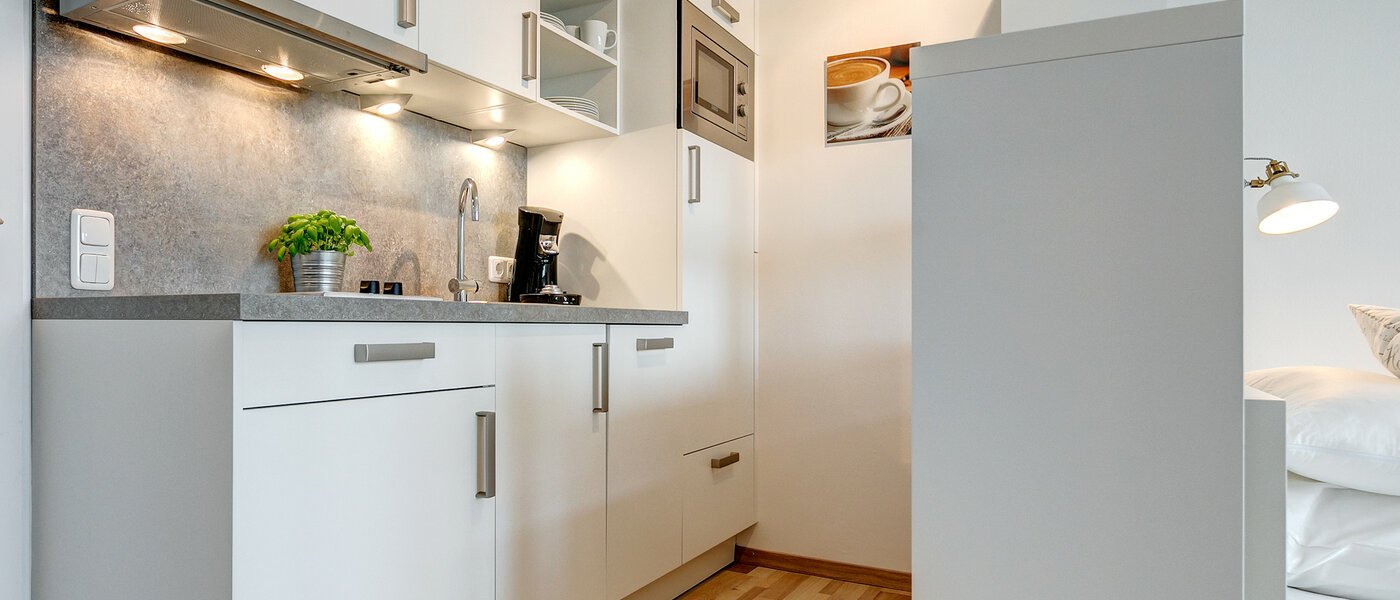 アパルトマン München Haidhausen 02 キッチン 8801