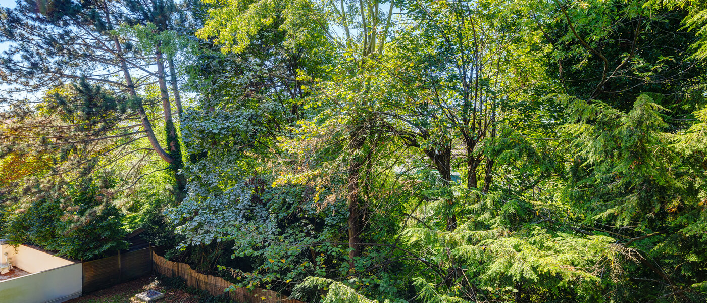 マンション München Sendling-Westpark 01 物件からの眺め 8875