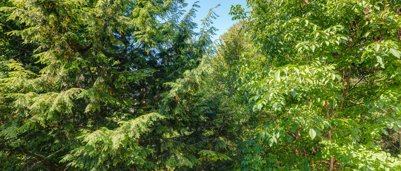 マンション München Sendling-Westpark 02 物件からの眺め 8875