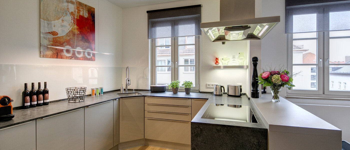 マンション München Maxvorstadt - Universitätsviertel 01 キッチン 9074