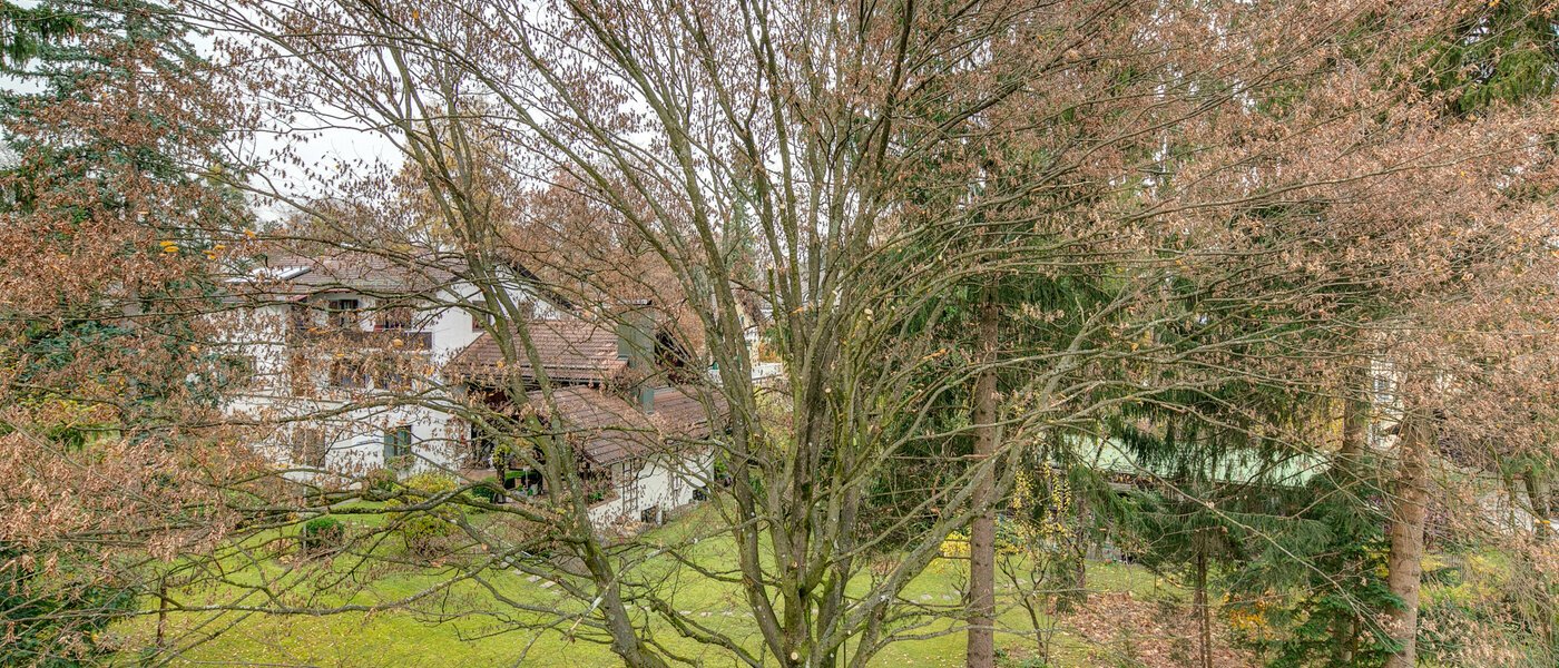 アティック・フラット（屋根裏） Gräfelfing 01 物件からの眺め 9079