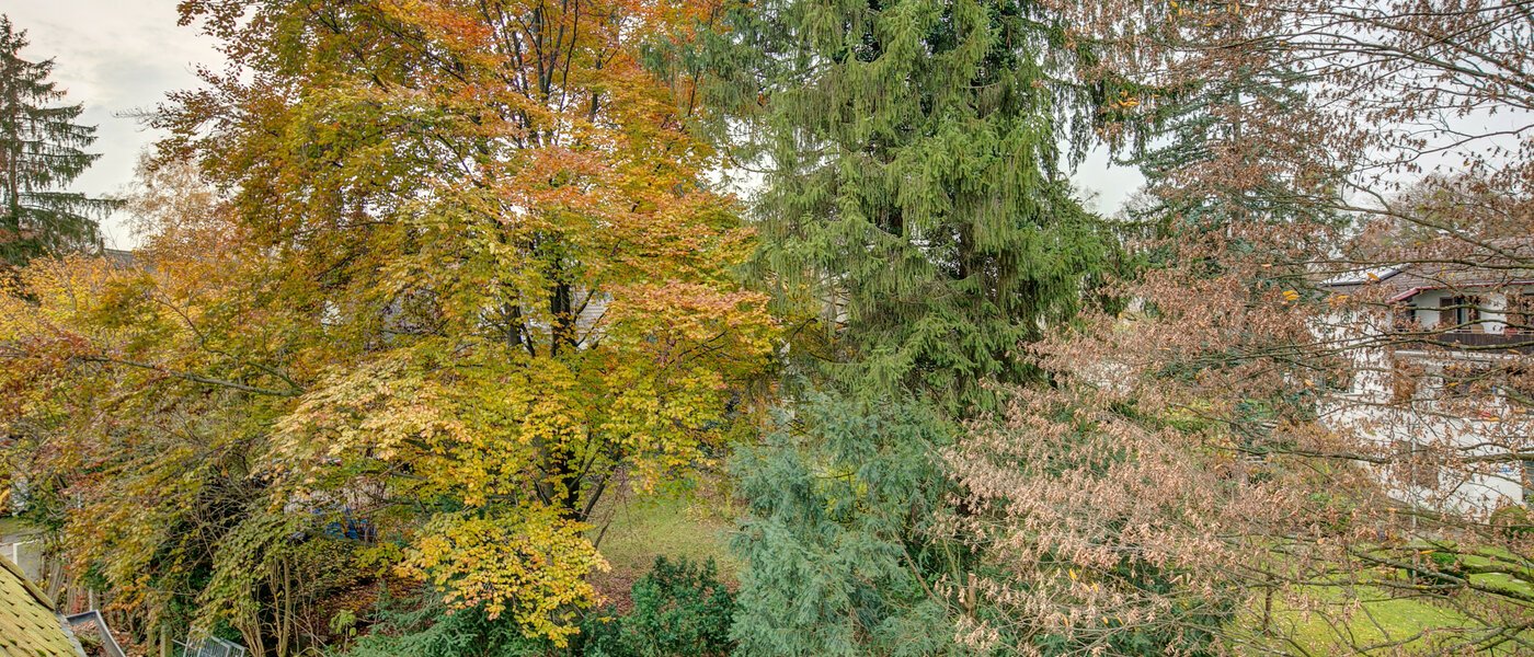 アティック・フラット（屋根裏） Gräfelfing 02 物件からの眺め 9079