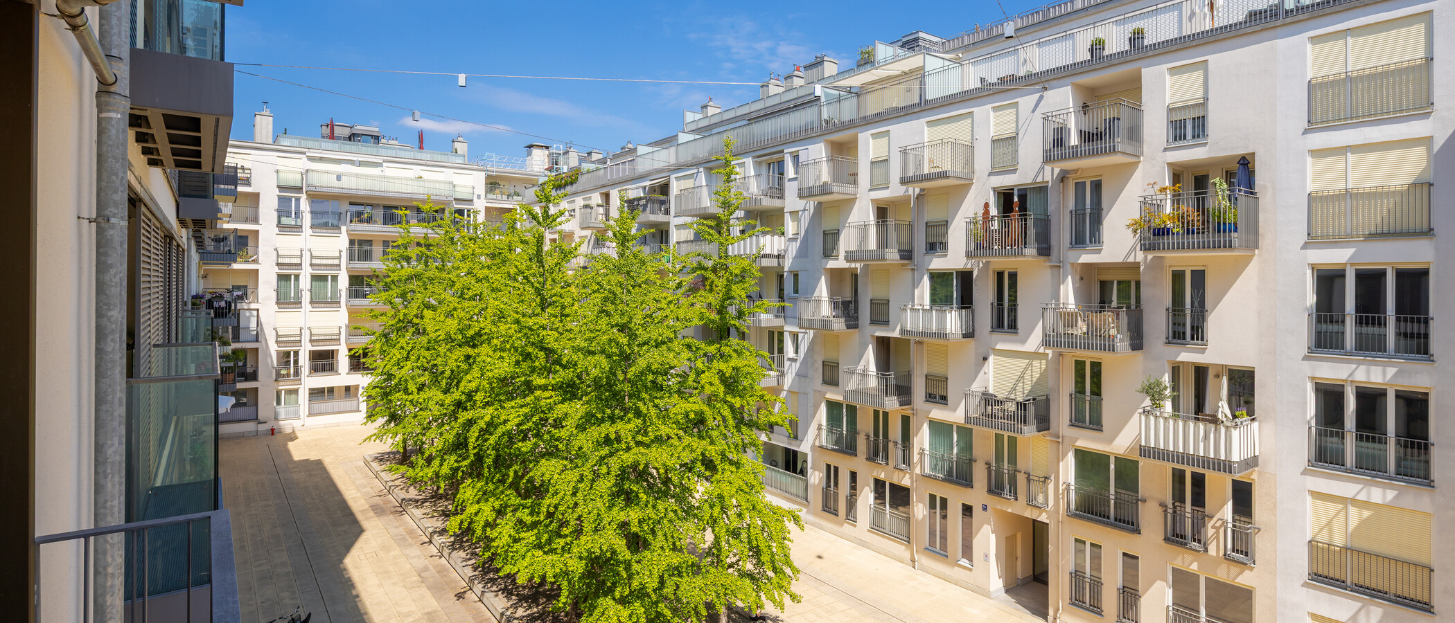 マンション München Maxvorstadt 03 物件からの眺め 9128