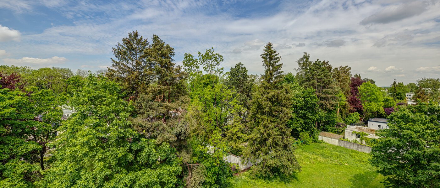 マンション München Waldtrudering 01 物件からの眺め 9176