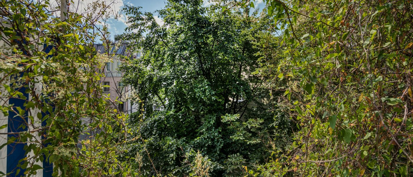 アパルトマン München Schwabing 02 物件からの眺め 9272