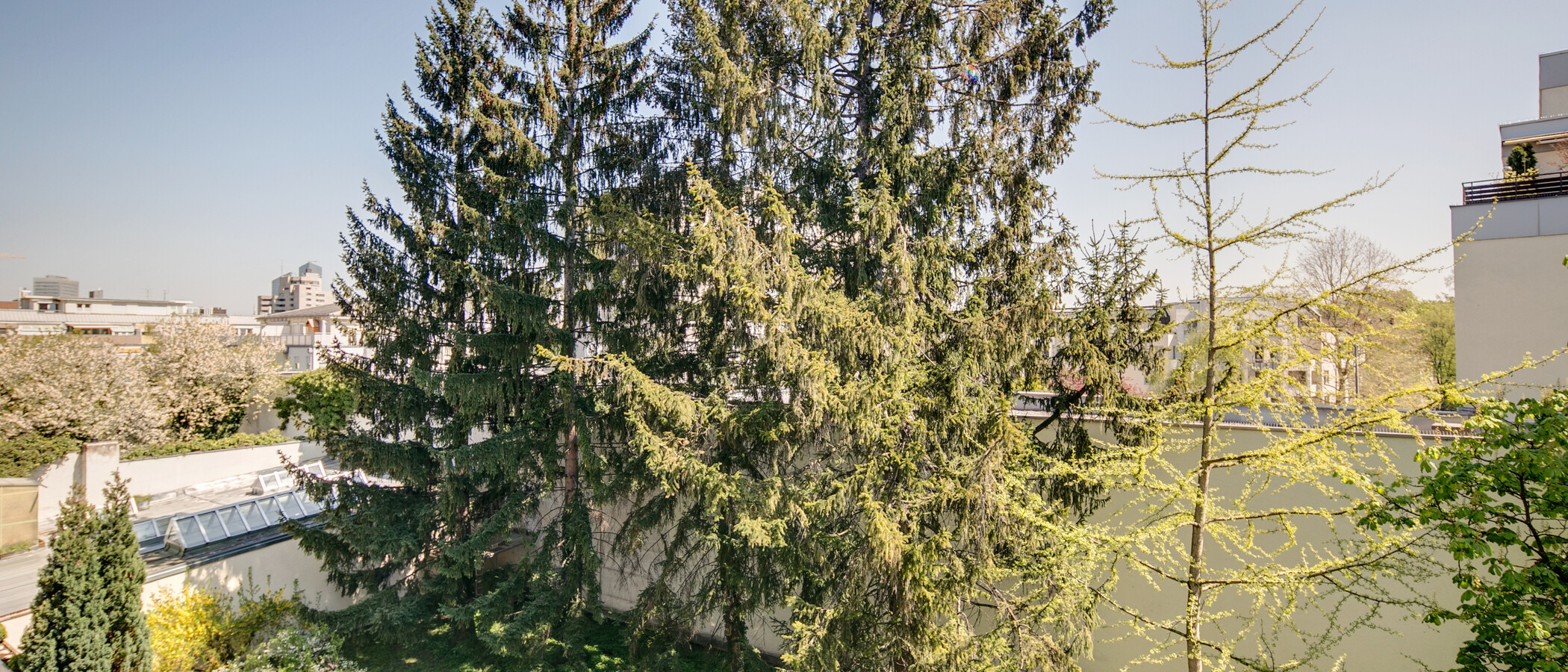 マンション München Schwabing (rechts der Leopoldstraße) 01 物件からの眺め 9457