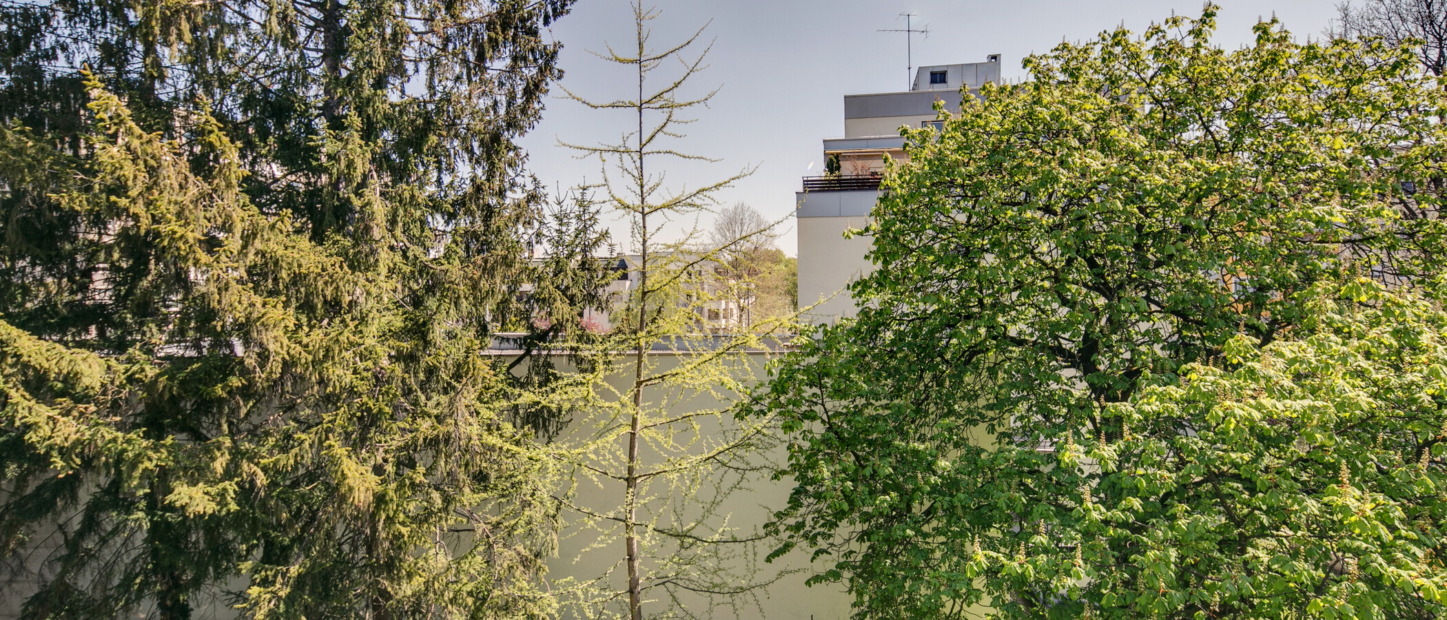 マンション München Schwabing (rechts der Leopoldstraße) 02 物件からの眺め 9457