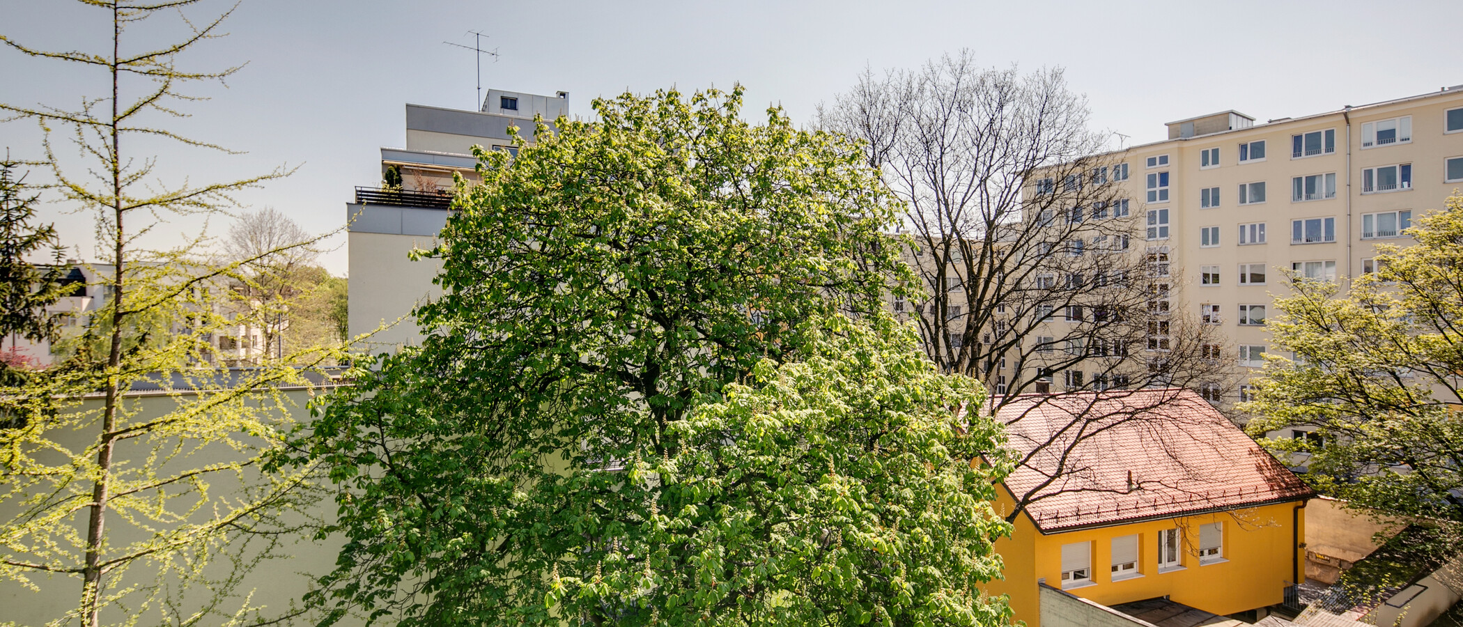 マンション München Schwabing (rechts der Leopoldstraße) 03 物件からの眺め 9457