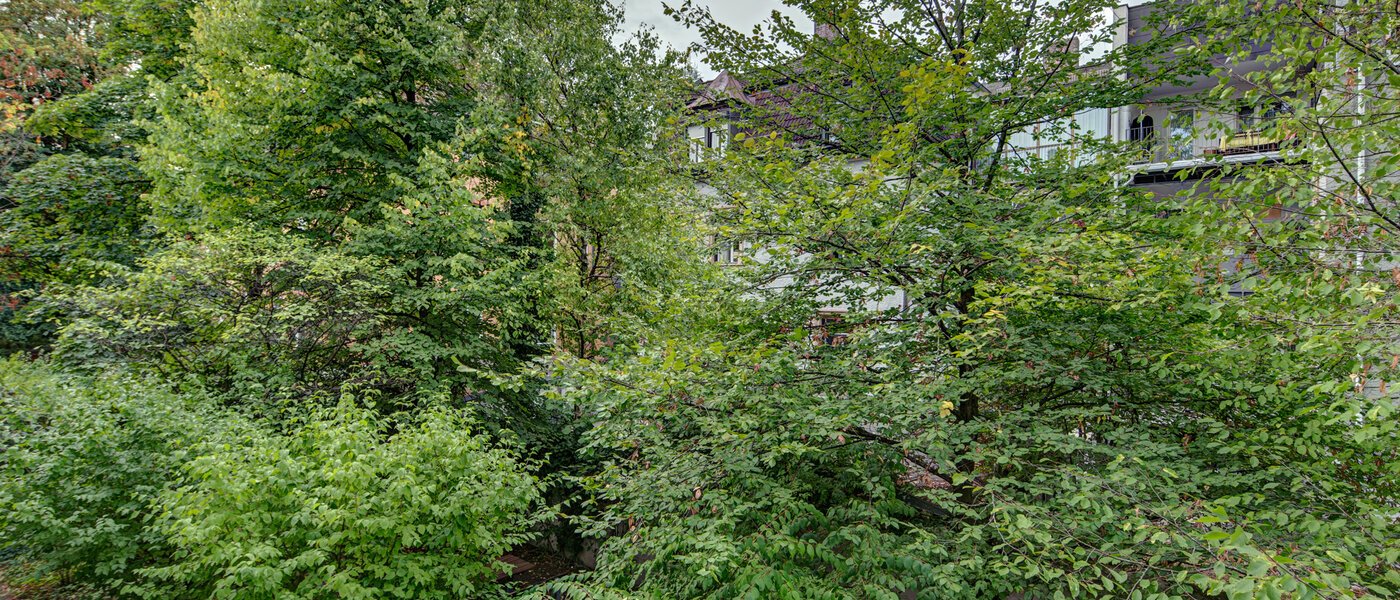 マンション München Haidhausen 01 物件からの眺め 9683