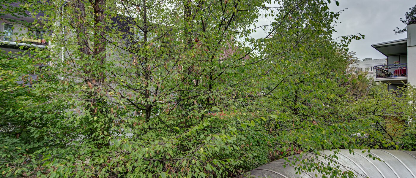 マンション München Haidhausen 02 物件からの眺め 9683