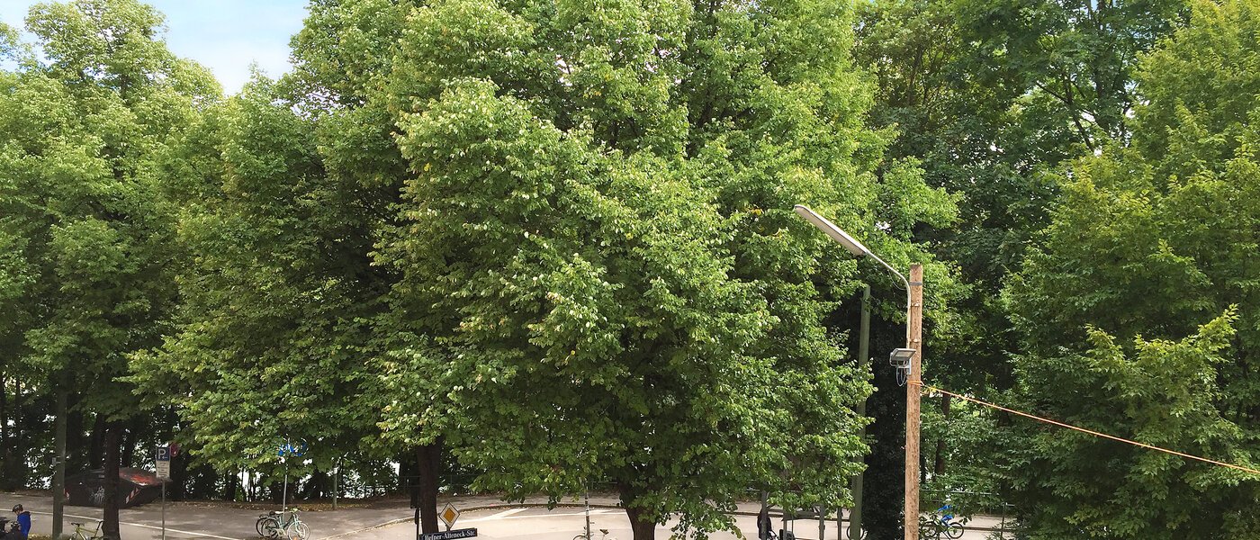 マンション München Isarvorstadt 03 物件からの眺め 9687