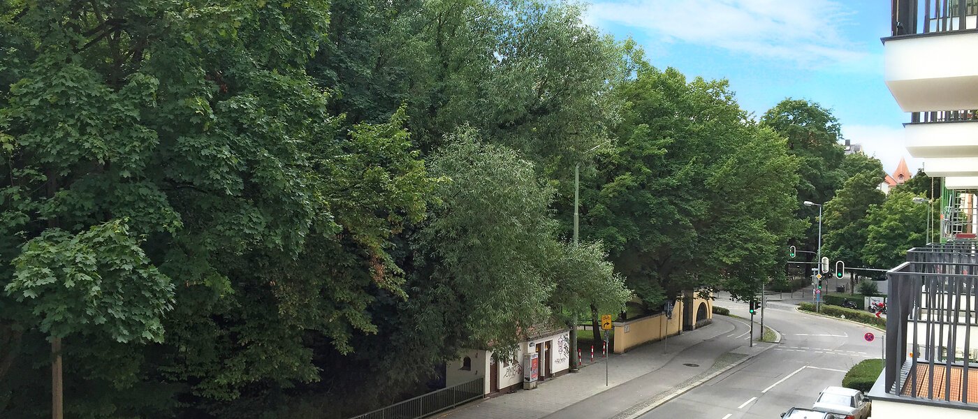 マンション München Isarvorstadt 04 物件からの眺め 9687