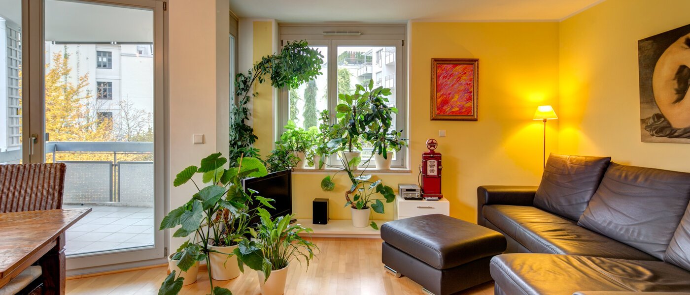 申し訳ございません。こちらの物件はすでに貸し出されました。