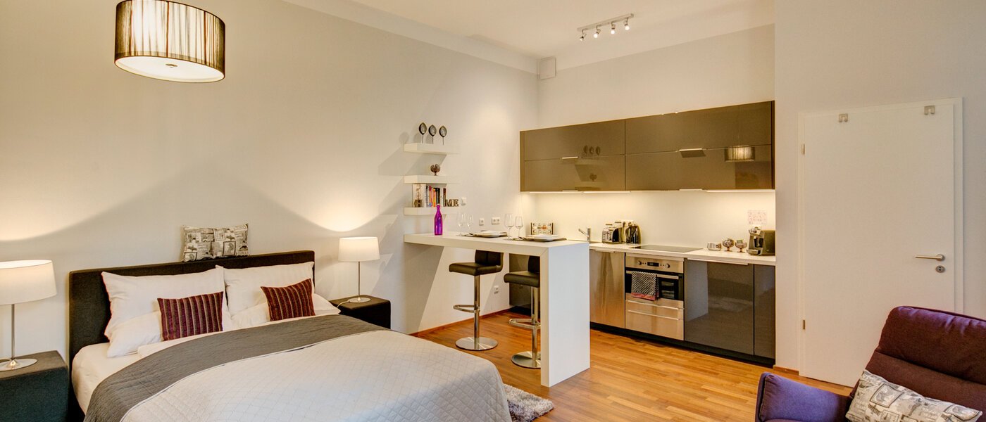 マンション München Ludwigsvorstadt 04 リビングルーム 9771