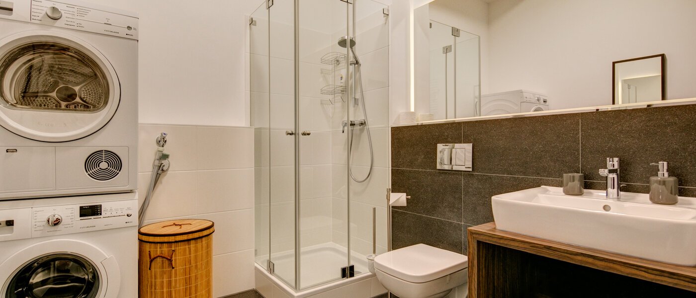 マンション München Ludwigsvorstadt 01 浴室 9771