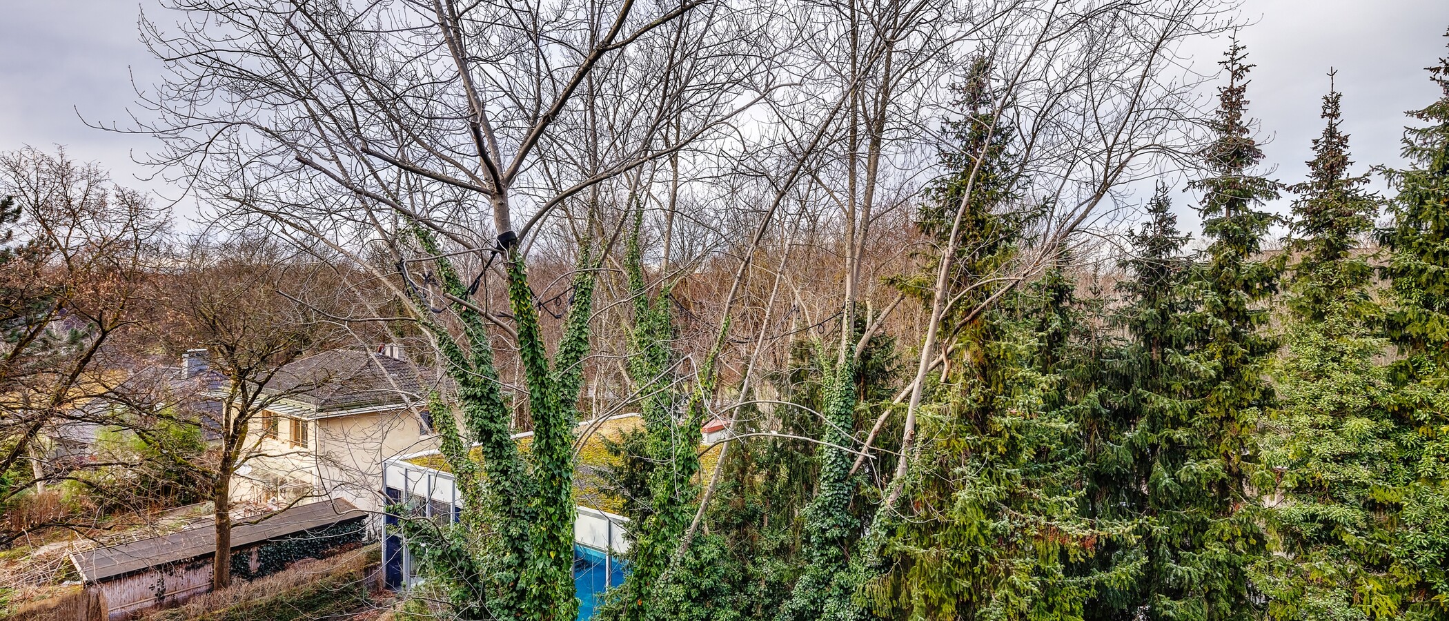 マンション München Schwabing-Nord (zw. Leopoldstraße & Englischen Garten) 01 物件からの眺め 9789
