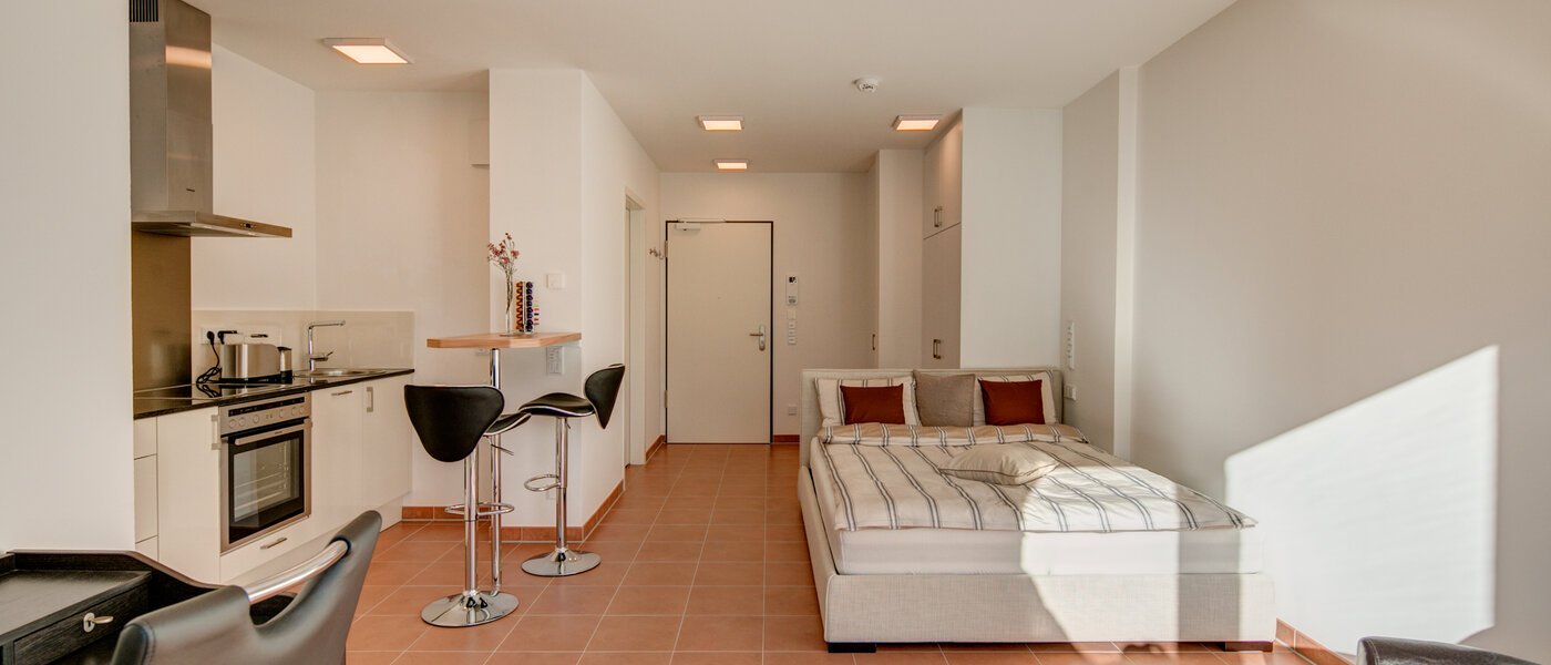 マンション München Isarvorstadt 03 リビングルーム 9891