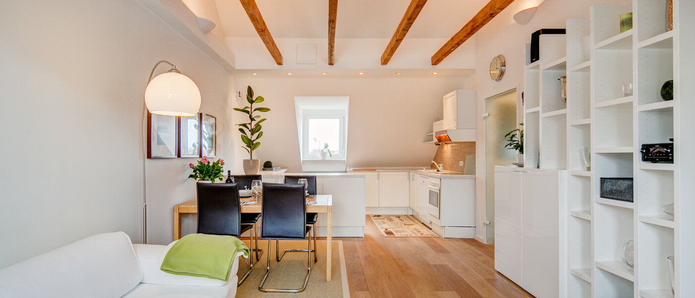 アティック・フラット（屋根裏） München Thalkirchen 01 リビングルーム 9893