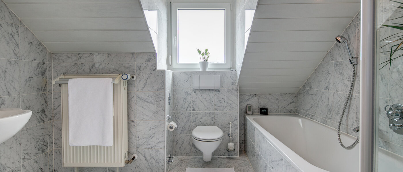 アティック・フラット（屋根裏） München Thalkirchen 01 浴室 9893