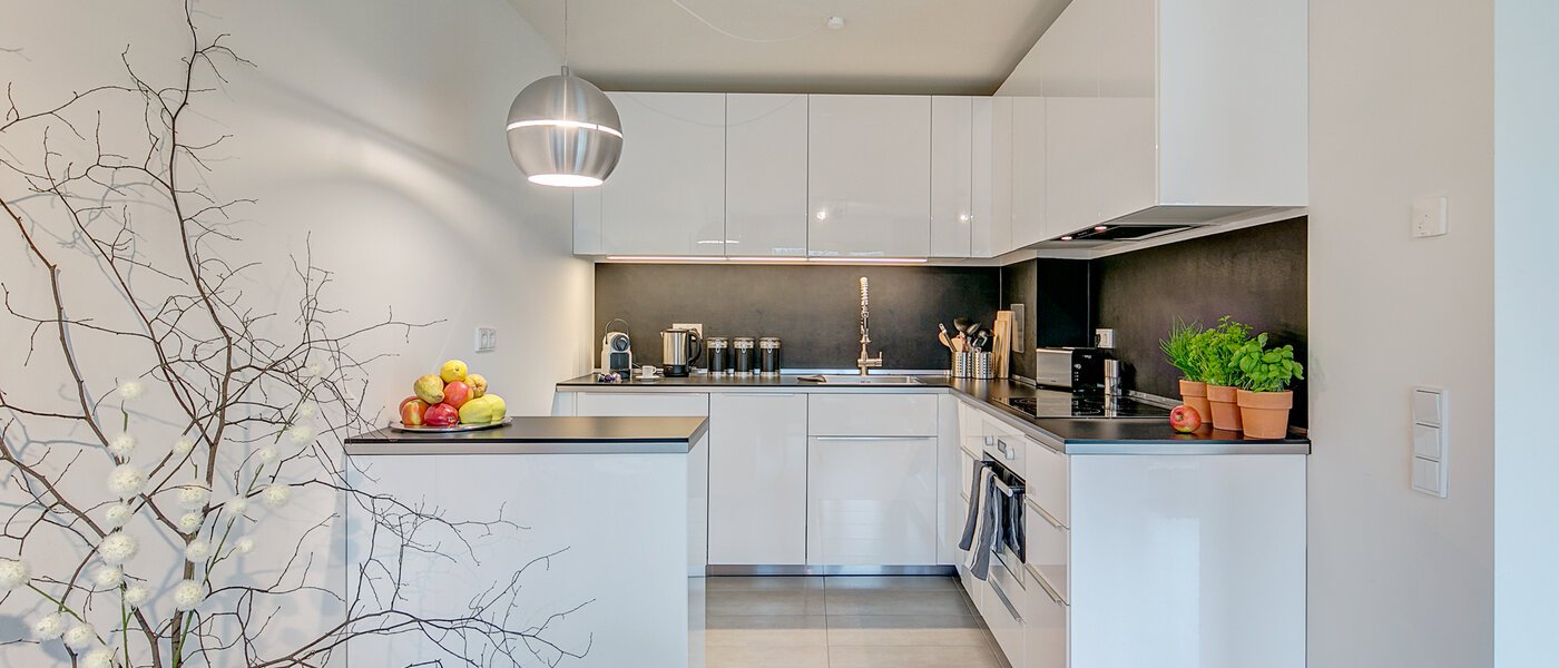 マンション München Schwabing-Georgenschwaige 01 キッチン 9904