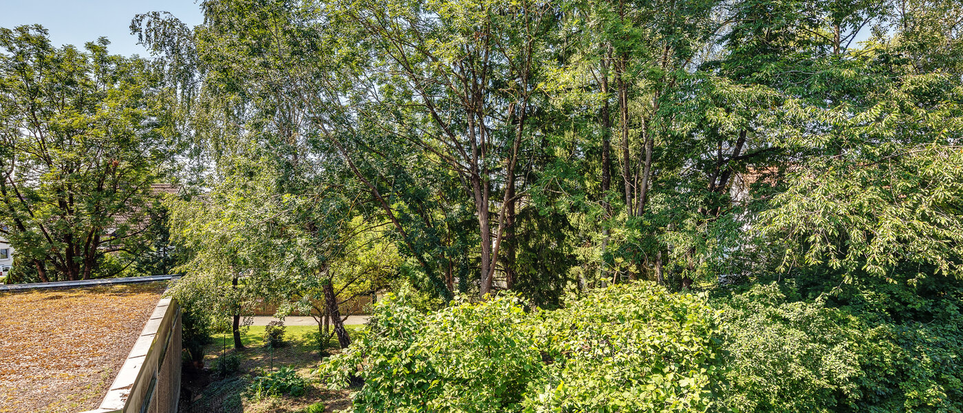 マンション München Moosach 02 物件からの眺め 9941