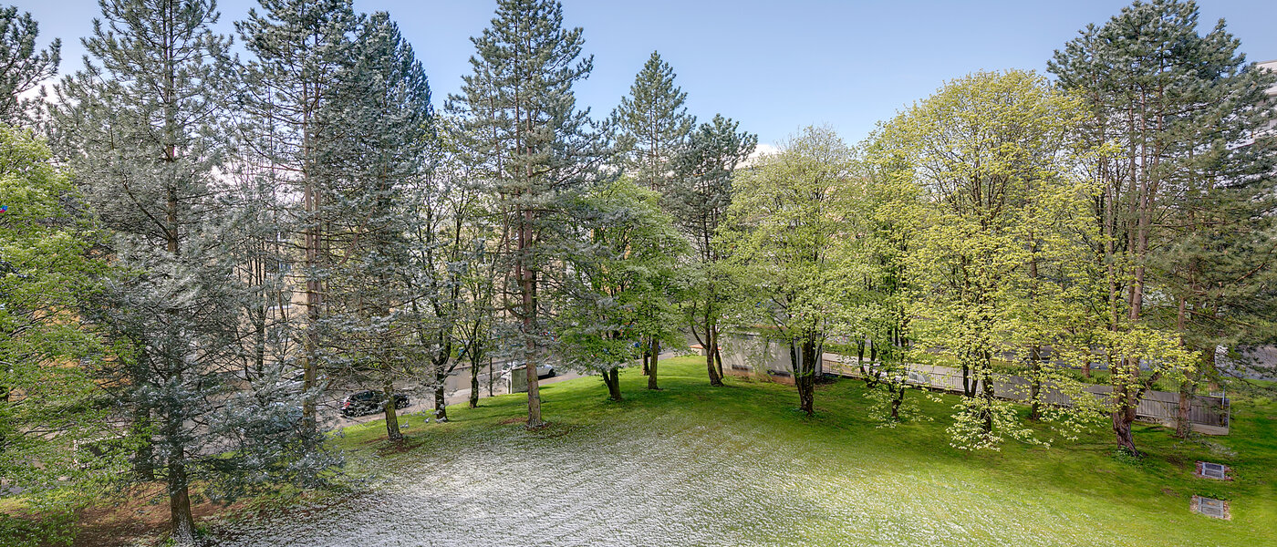 マンション München Ramersdorf 02 物件からの眺め 9990