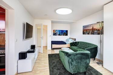 美しい1ルームアパートメント（独立キッチン付き）