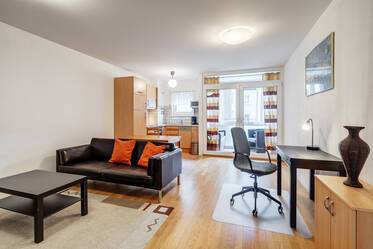 家具付 マンション 場所： Ludwigsvorstadt