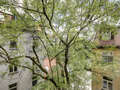 マンション München Schwabing (links der Leopoldstraße) 01 物件からの眺め 1262