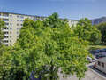 マンション München Parkstadt Bogenhausen 02 物件からの眺め 14554