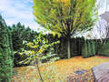 庭付き住宅 München Denning 01 庭 14634