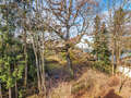 複層住宅 München Waldtrudering 02 物件からの眺め 14759