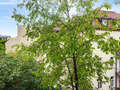 マンション München Schwabing-West 01 物件からの眺め 14894