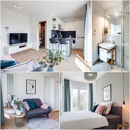 ID 11350: フラットなトップデザイン