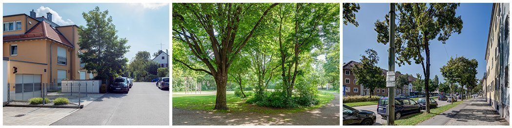 Waldfriedhof - &copy; Mr. Lodge GmbH